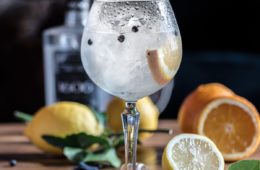 gin-français